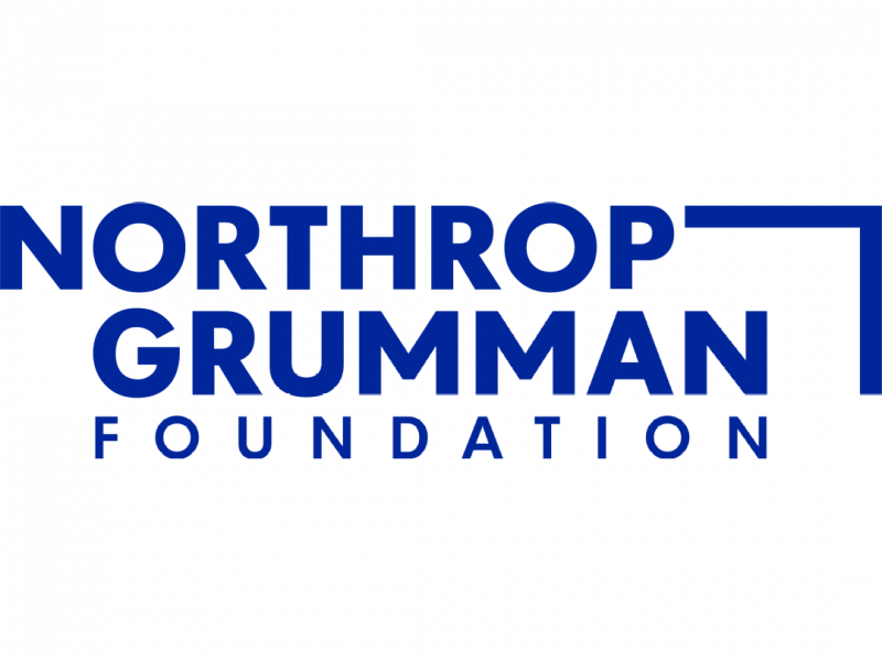 northrop grumman logo vector